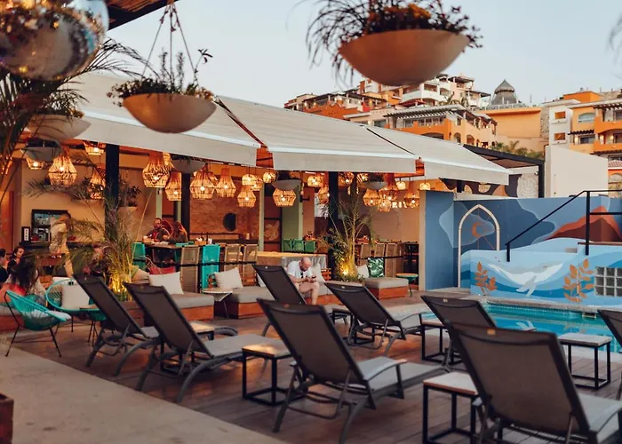 Guest house Mayan Monkey Cabos - Social (adults Only)
