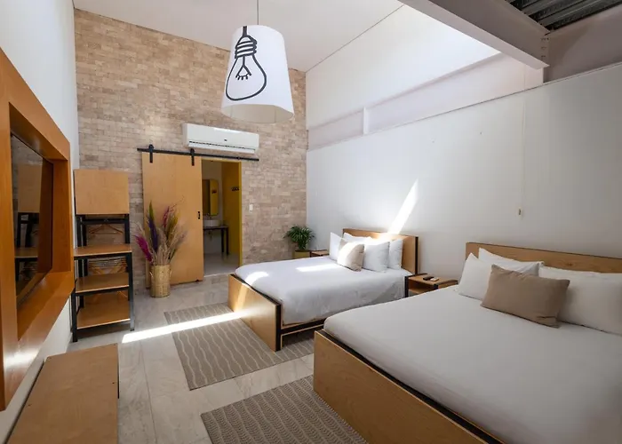 Mayan Monkey Cabos - Social (adults Only) Guest house