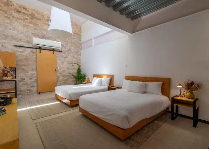 Mayan Monkey Cabos - Social (adults Only) Guest house Cabo San Lucas