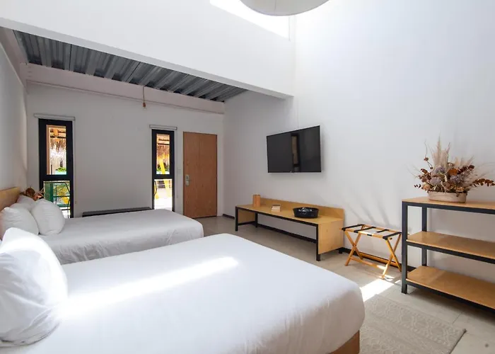 Mayan Monkey Cabos - Social (adults Only) Guest house