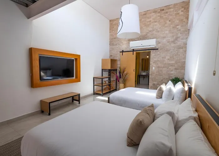 Guest house Mayan Monkey Cabos - Social (adults Only) 4*