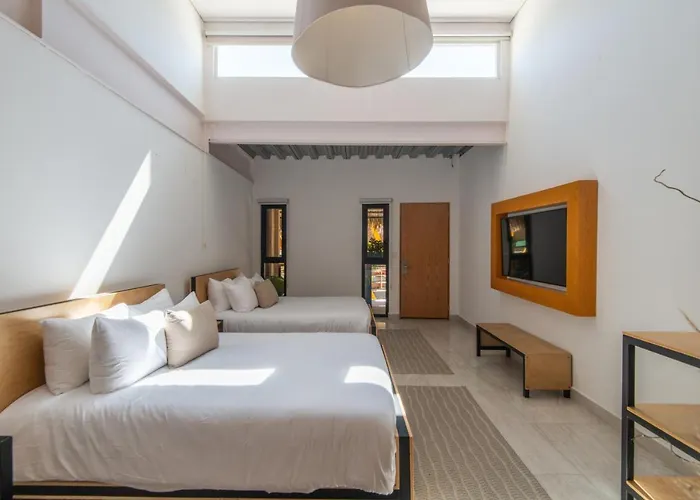 Guest house Mayan Monkey Cabos - Social (adults Only)