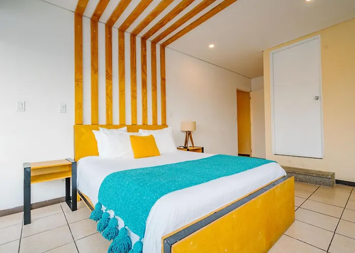 Mayan Monkey Cabos - Social (adults Only)